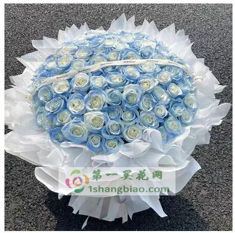 星辰大海
